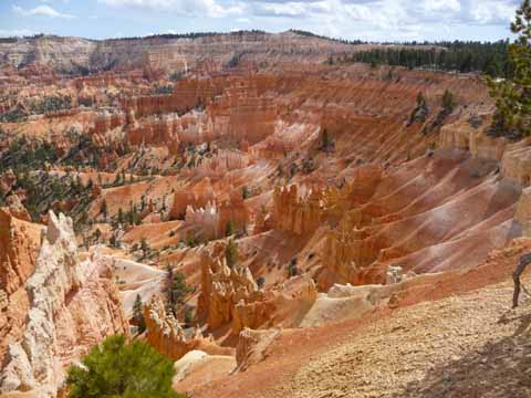 Sunrise Point Bryce Canyon